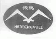银鸥;HERRINGGULL