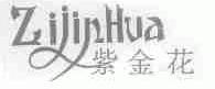紫金花