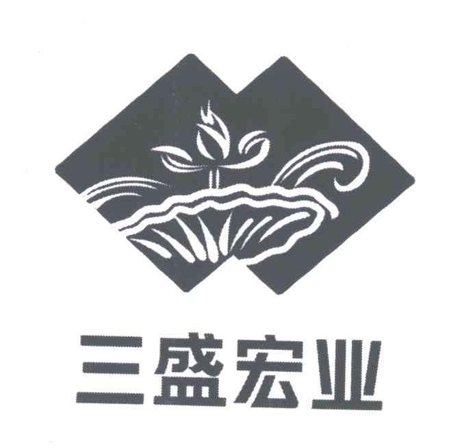 三盛宏业
