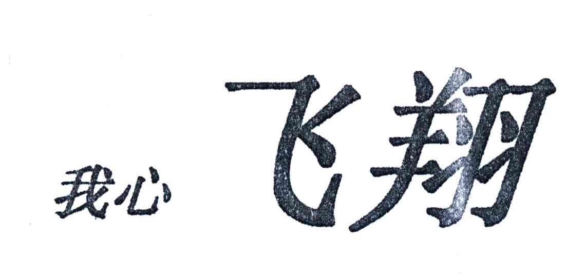 我心飞翔；飞翔