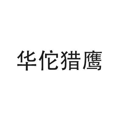 华佗猎鹰
