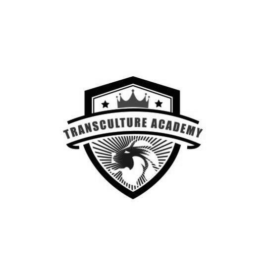 TRANSCULTURE ACADEMY