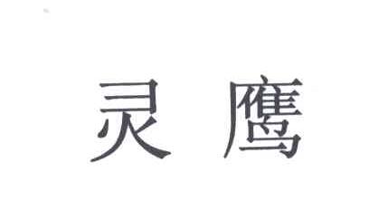 灵鹰