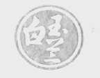 白玉兰
