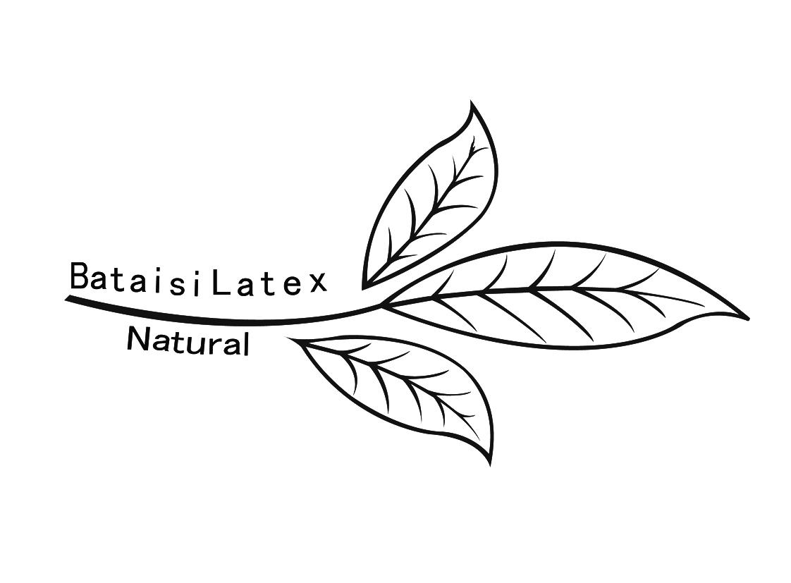 BATAISILATEX NATURAL