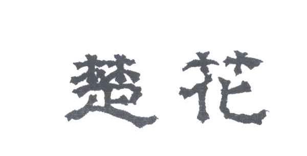 楚花