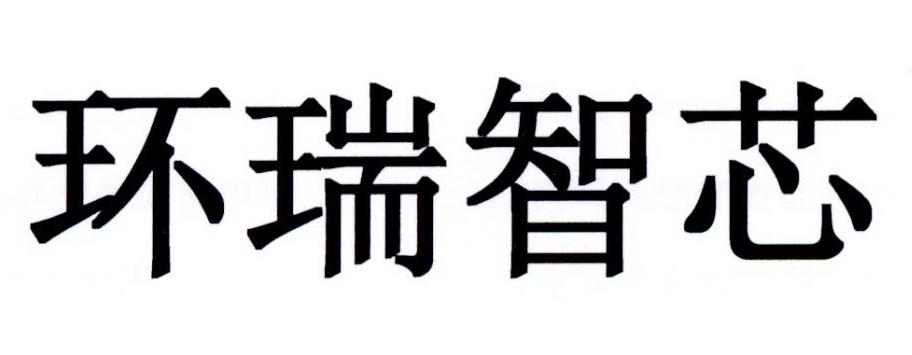 环瑞智芯