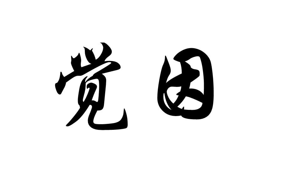 觉因