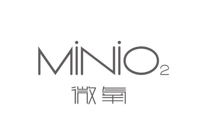 微氧 MINIO 2