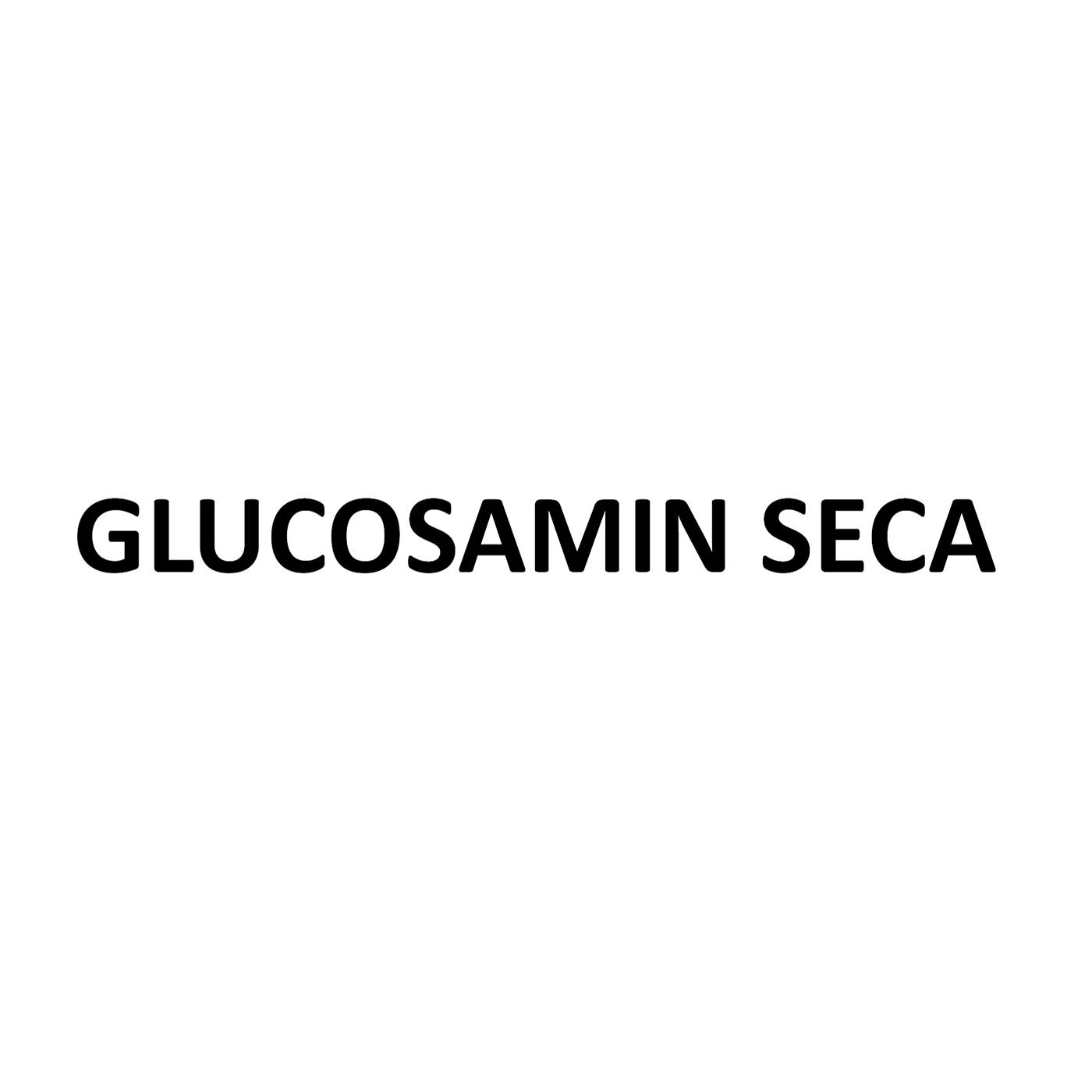 GLUCOSAMIN SECA