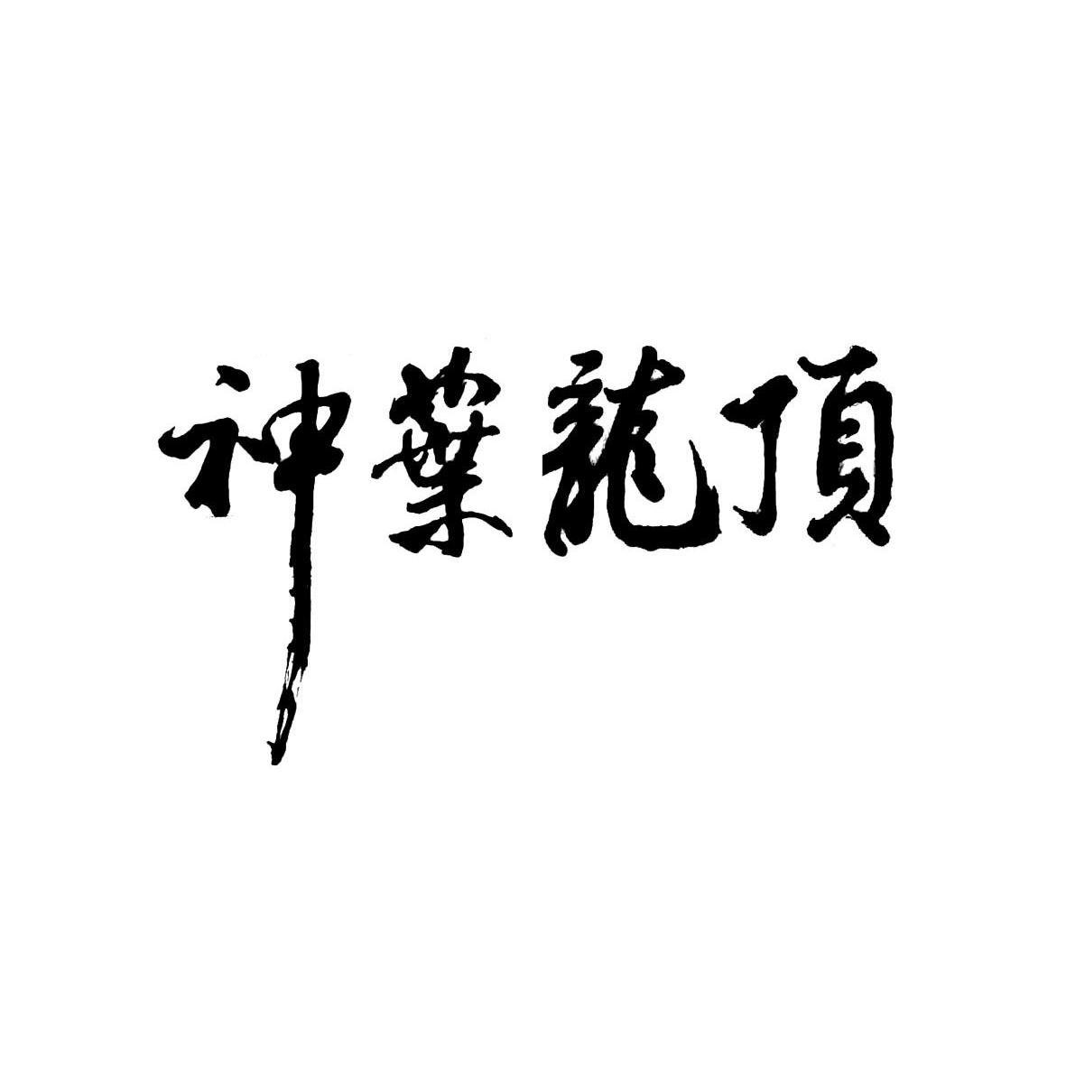 神叶龙顶
