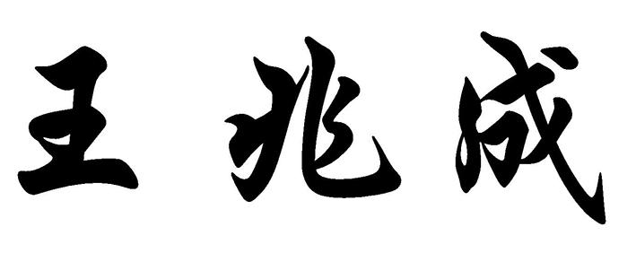 王兆成