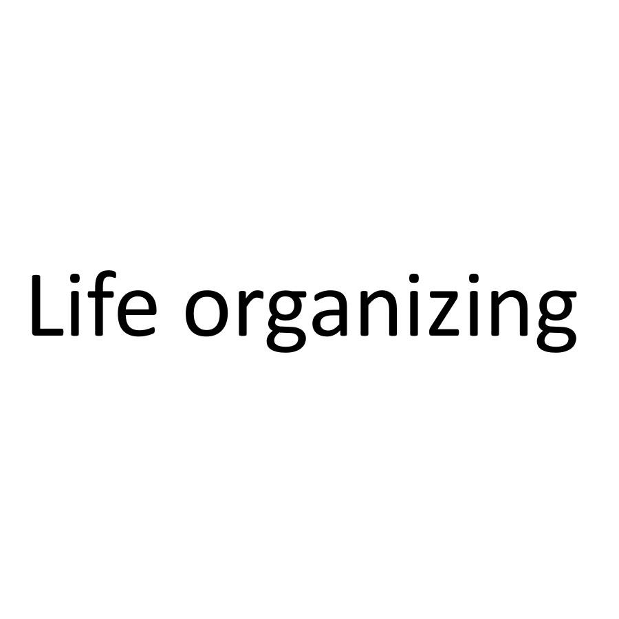 LIFE ORGANIZING