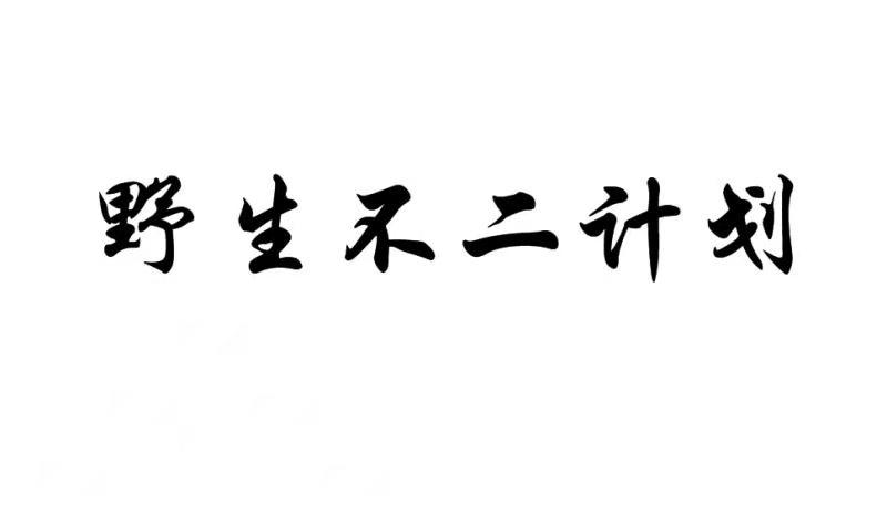 野生不二计划