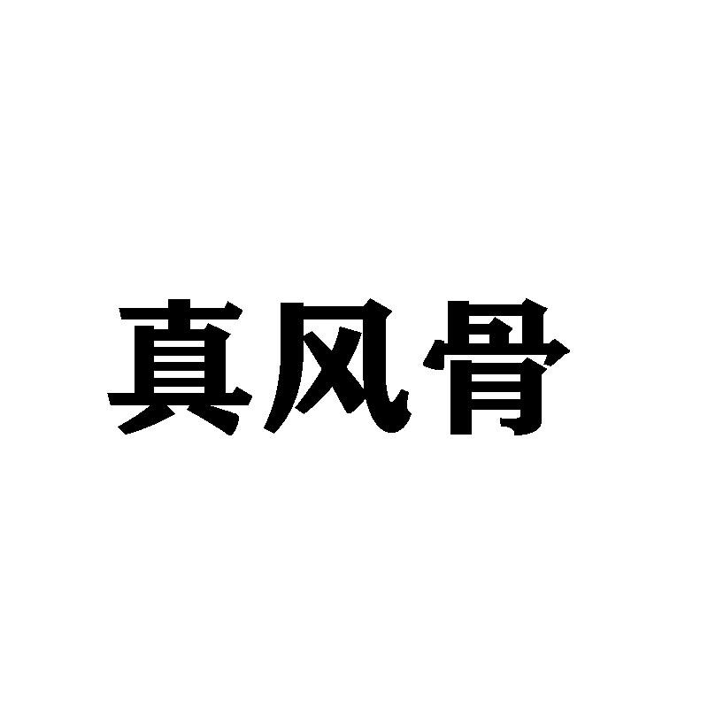 真风骨