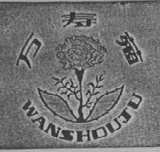 万寿菊