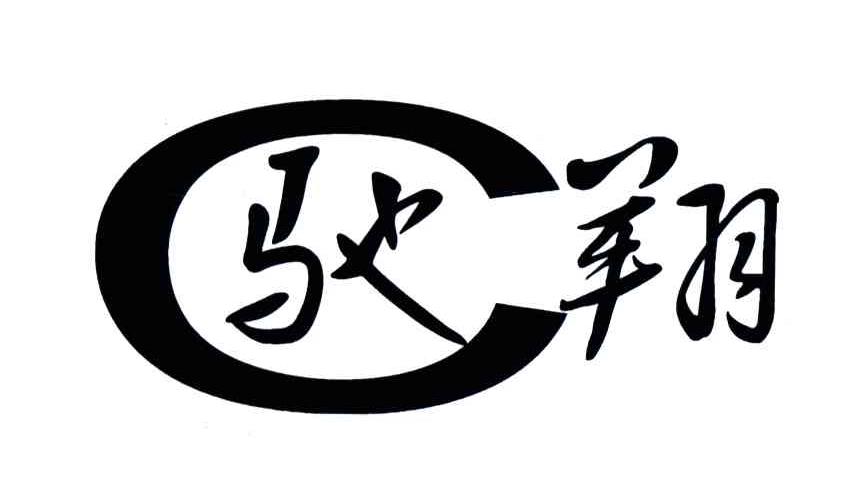 驰翔