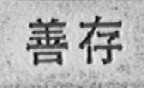 善存