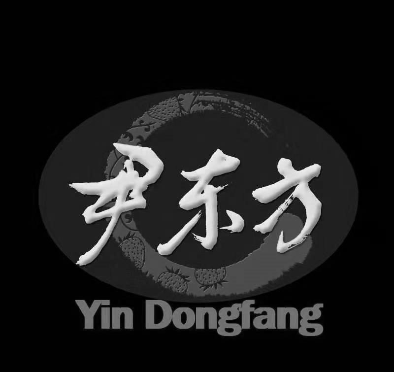 尹东方