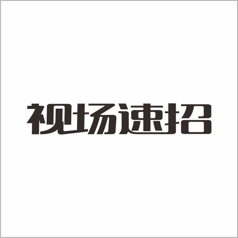 视场速招