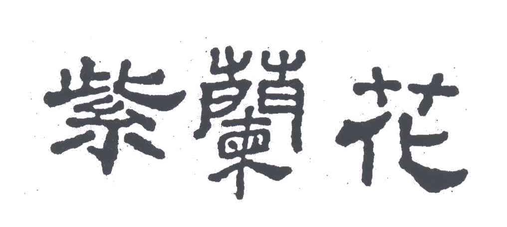 紫兰花