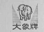 大象