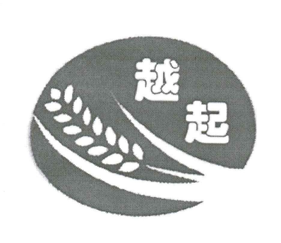 越起