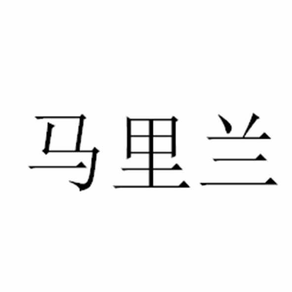 马里兰