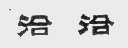 洽洽