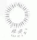 维姿