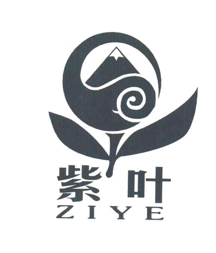 紫叶