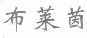 布莱茵