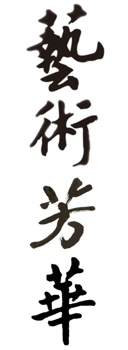 艺术芳华