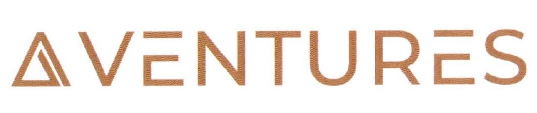 VENTURES