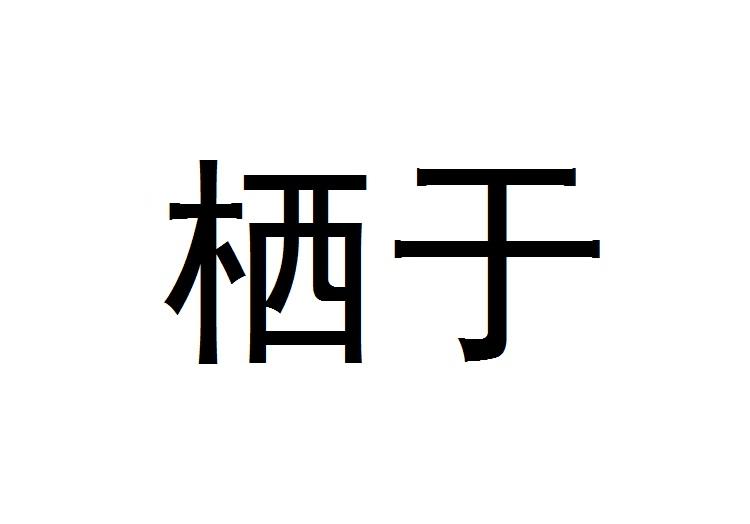 栖于