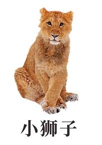 小狮子