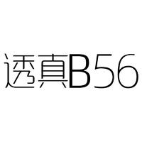 透真 B 56
