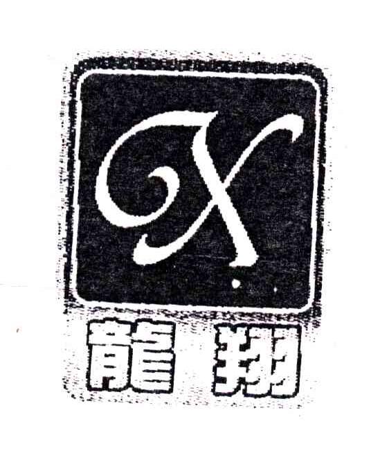 龙翔;X