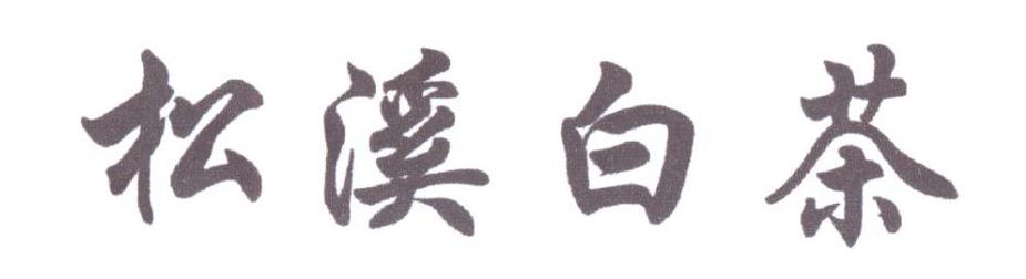松溪白茶