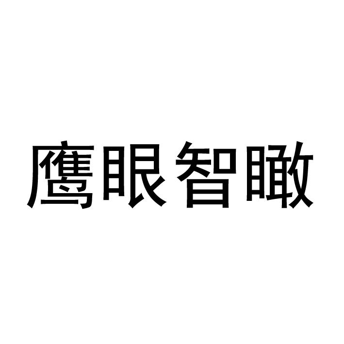 鹰眼智瞰