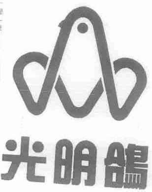 光明鸽