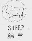绵羊  SHEEP