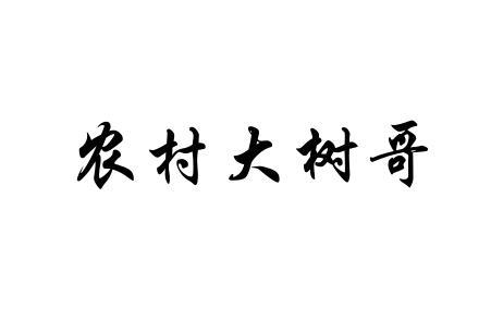 农村大树哥
