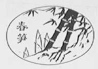 春笋