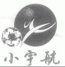小宇航
