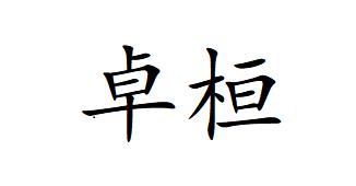 卓桓