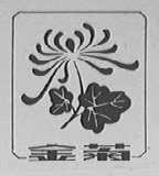 金菊