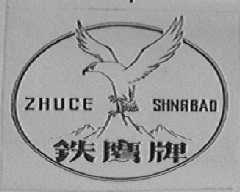 铁鹰