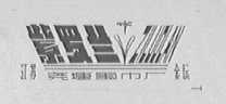 紫罗兰