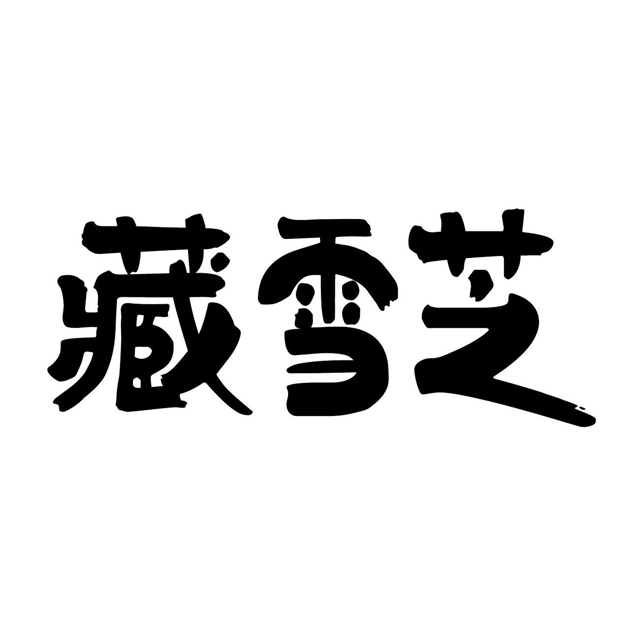 藏雪芝